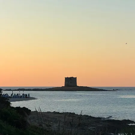 Cala Rosa Con Vista Mare - Polipo